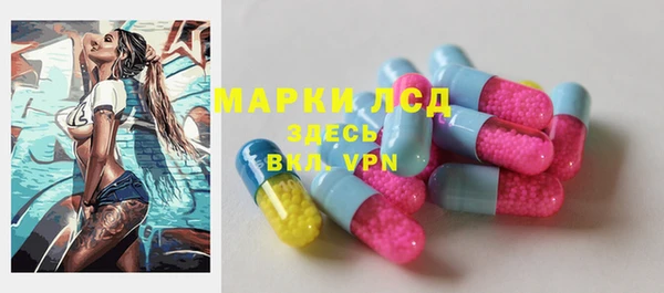 PSILOCYBIN Лагань