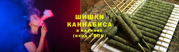 PSILOCYBIN Лагань