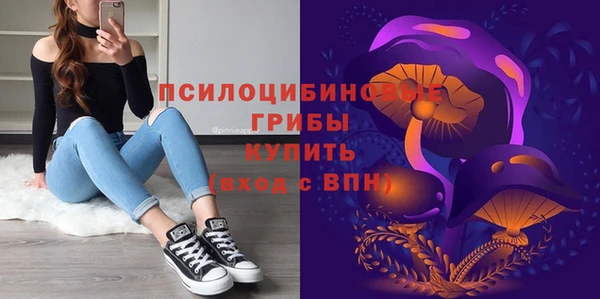 герыч Ладушкин
