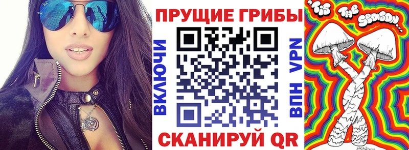 Галлюциногенные грибы мухоморы  darknet какой сайт  Спасск  ОМГ ОМГ маркетплейс 
