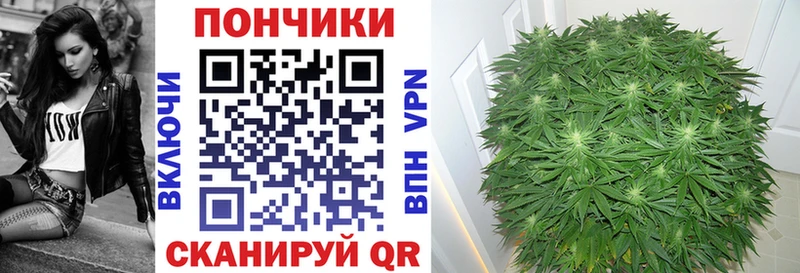 Канабис индика  Спасск 
